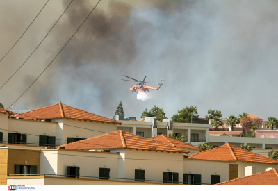 Λέκκας για φωτιά στη Ρόδο: Πρωτόγνωρες οι εικόνες, το περιβάλλον έχει καταστραφεί