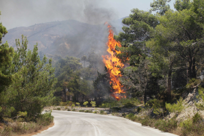 «Ακραίος κίνδυνος πυρκαγιάς» τη Δευτέρα σε Αττική, Εύβοια, Κορινθία - Όλη η Ελλάδα σε επιφυλακή
