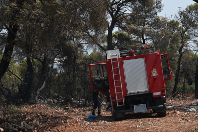 Λιποθύμησαν δύο πυροσβέστες κατά τη διάρκεια φωτιάς στη Βόλβη Θεσσαλονίκης