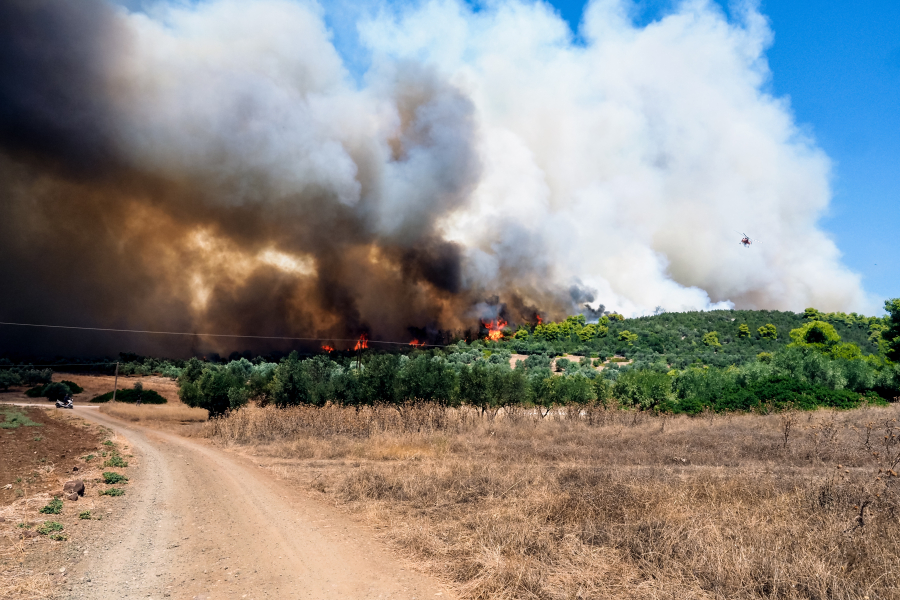 Μεγάλη φωτιά στη Λακωνία: Ισχυροί άνεμοι στο σημείο, και ελικόπτερο στη «μάχη»