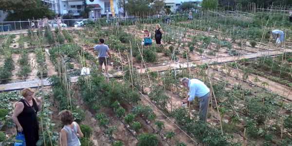 Δήμος Νεάπολης Συκεών: Παράταση για τους Δημοτικούς Λαχανόκηπους