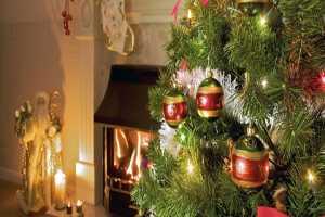 Χρήσιμες συμβουλές για την αγορά χριστουγεννιάτικου δέντρου