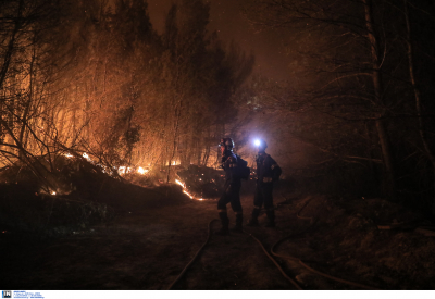 Εφιαλτική νύχτα στη Ρόδο - Καίγονται δάση, εκκενώθηκαν οικισμοί - Η κατάσταση στα άλλα μέτωπα (εικόνες, βίντεο)