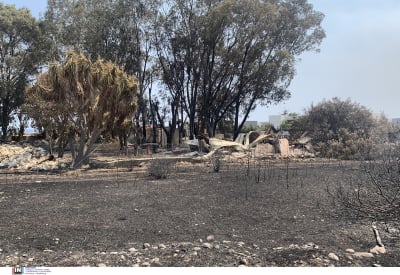 Στάχτη 135.000 στρέμματα δασικής έκτασης από τη φωτιά στη Ρόδο