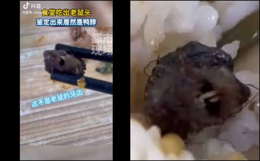 Σοκ στην Κίνα με ποντικοκέφαλα στο φαγητό φοιτητών: «Βρήκαμε ένα αντικείμενο με δόντια, μάτια και μύτη» (βίντεο)
