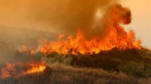 Καταγραφή ζημιών από την πυρκαγιά στον δήμο Ωρωπού
