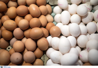 Πάρτο αυγό και κούρευτο! Εταιρεία παραγωγής αυγών «ξέχασε» να κόψει παραστατικά 500.000 ευρώ