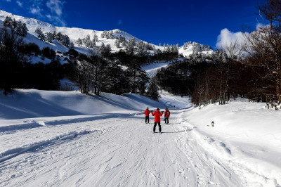 Ανοίγει το Χιονοδρομικό της Βασιλίτσας για την προετοιμασία της προολυμπιακής ομάδας
