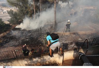 Φωτιά στα Δερβενοχώρια: Καταγγελίες για απουσία της Πυροσβεστικής από τη Μάνδρα, «η κατάσταση είναι τραγική»