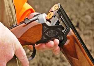 ΥΠΕΝ: Υπεγράφη η φετινή ρυθμιστική απόφαση για το κυνήγι