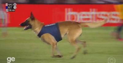 Απίστευτο βίντεο: Σκύλος της αστυνομίας εισέβαλε στον αγωνιστικό χώρο και... έκλεψε την μπάλα