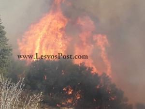 Λέσβος: Μεγάλη φωτιά σε εξέλιξη στο Μεγαλοχωρι Πλωμαριου (pics)