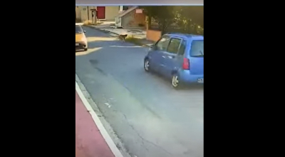 Νέο σοκαριστικό βίντεο: Οδηγός παρασύρει σκυλάκι και το παρατάει αιμόφυρτο
