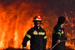 Υπό μερικό έλεγχο η πυρκαγιά στη Μεταξάδα Μεσσηνίας