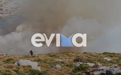 Φωτιά στην Εύβοια: Συγκλονιστικό βίντεο από το πύρινο μέτωπο στην Κάρυστο
