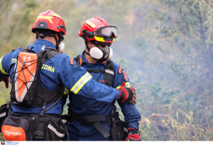 Σπάρτη: Υπό μερικό έλεγχο τέθηκε η φωτιά στην περιοχή Άγιος Στέφανος της Λακωνίας