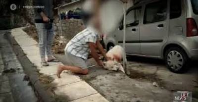 Νίκαια: Συνελήφθησαν οι δύο άνδρες για την άγρια κακοποίηση σκύλου, δεν έχει διαφύγει ακόμα τον κίνδυνο