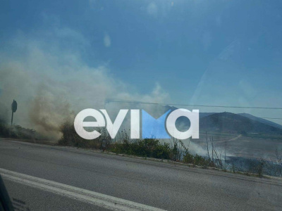 Νέος συναγερμός για φωτιά στη νότια Εύβοια