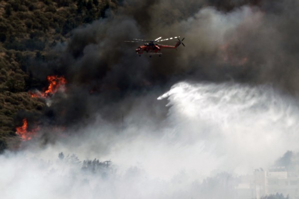 Για ακόμη μία ημέρα υψηλός ο κίνδυνος φωτιάς - 40 δασικές πυρκαγιές μέσα σε 24ωρες