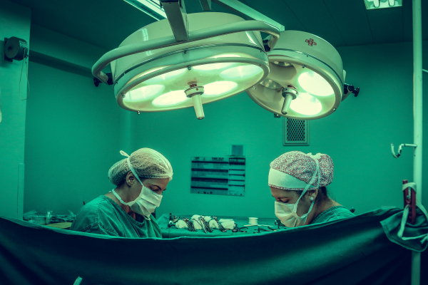 Επιτυχημένη η πρώτη μεταμόσχευση νεφρού χοίρου σε ασθενή - Τι αναφέρει το Γενικό Νοσοκομείο της Μασαχουσέτης