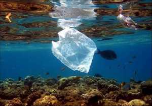 «Πνίγουν» τις θάλασσες πλαστικές σακούλες και αποτσίγαρα
