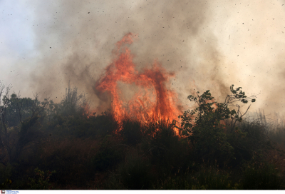 Μεγάλος κίνδυνος φωτιάς σήμερα, ποιες περιοχές βρίσκονται στο επίκεντρο