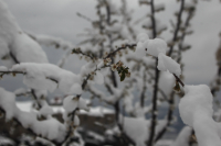 Κακοκαιρία Φίλιππος: Δείτε live που χιονίζει τώρα, «αγριεύει» ο καιρός τις επόμενες ώρες (εικόνα)