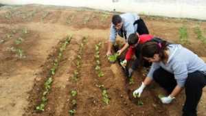 Δημιουργία σχολικού βιολογικού λαχανόκηπου στο Δήμο Ξάνθης