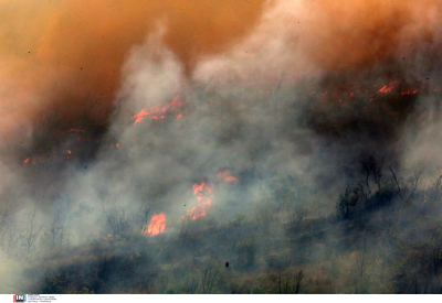 Συνεχίζεται ο εφιάλτης στον Έβρο: Οι φλόγες φτάνουν στη Λευκίμμη, εκκενώνουν οι κάτοικοι