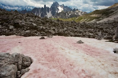 Το ροζ και το πορτοκαλί χιόνι – Ο Θοδωρής Κολυδάς εξηγεί το φαινόμενο