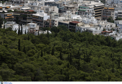 «Έρχονται» 2.975 δέντρα στον Δήμο Αθηναίων