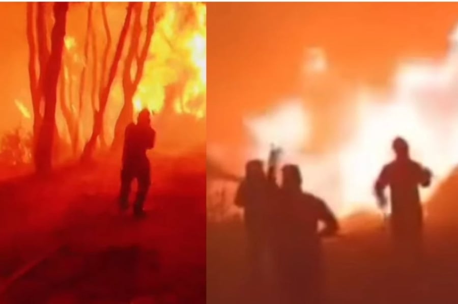 Φωτιά στη Ρόδο :«Φύγε, δεν κόβεται!» Κόβουν την ανάσα τα βίντεο με τη μάχη των πυροσβεστών