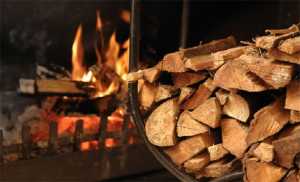 Η αυξανόμενη ζήτηση ξύλου για θέρμανση «γεννά» κρούσματα λαθροϋλοτομίας