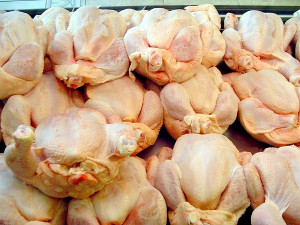Πειραιάς: Κατασχέθηκαν 67 κιλά ακατάλληλα κοτόπουλα  