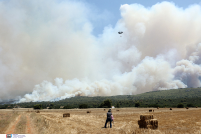 Εύβοια: Μεγάλη φωτιά τώρα στην Κάρυστο