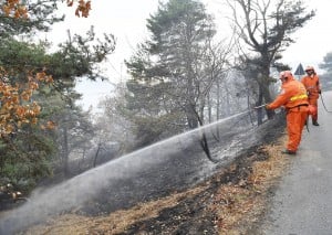 Δασικές πυρκαγιές σαρώνουν τη Β. Ιταλία - Έστειλε καναντέρ η Ελλάδα