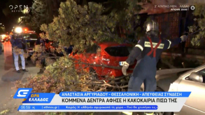 Θεσσαλονίκη - Κακοκαιρία «Αθηνά»: Πτώσεις δέντρων σε έξι σημεία, ζημιές σε αυτοκίνητα