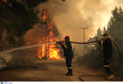 Φωτιά στον Έβρο: Αυτά είναι τα μέτρα στήριξης των πληγέντων