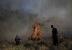 Υπό έλεγχο η φωτιά στον Πάρνωνα - Κάηκαν 150 στρέμματα δάσους 