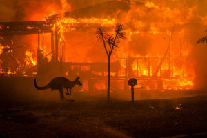 Φωτιές στην Αυστραλία: Σε κατάσταση έκτακτης ανάγκης η Καμπέρα