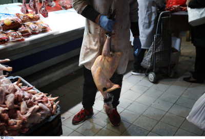«Αγνοούνται» για την ώρα οι γαλοπούλες: Πόσο θα πληρώσουμε το κρέας τα Χριστούγεννα