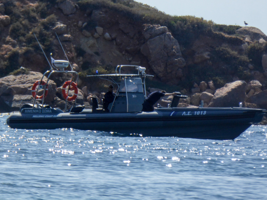 Νεκρή επιβάτιδα πλοίου μέσα στην καμπίνα της στο ταξίδι Χίος - Πειραιάς