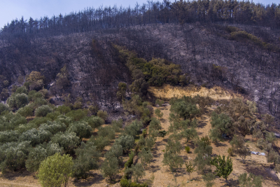 Φωτιά σε Ροδόπη και Έβρο: Μήνυμα 112 για εκκένωση της Λεπτοκαρυάς