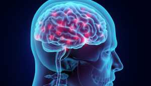 Η ηλεκτρική δραστηριότητα του εγκεφάλου μπορεί να συνεχισθεί για τουλάχιστον δέκα λεπτά μετά τον θάνατο