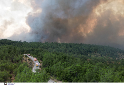 Απελπιστική η κατάσταση στον Έβρο: Καίγεται το μοναδικό ανέπαφο σημείο του δάσους της Δαδιάς