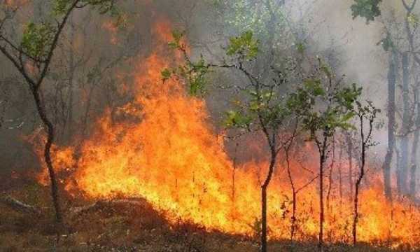 Χίος - Δύο σοβαρά μέτωπα φωτιάς σε πλήρη εξέλιξη στο βόρειο τμήμα του νησιού