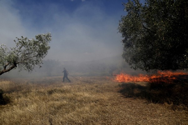 Ολονύκτια «μάχη» με τις φλόγες στην Κίσσαμο Χανίων