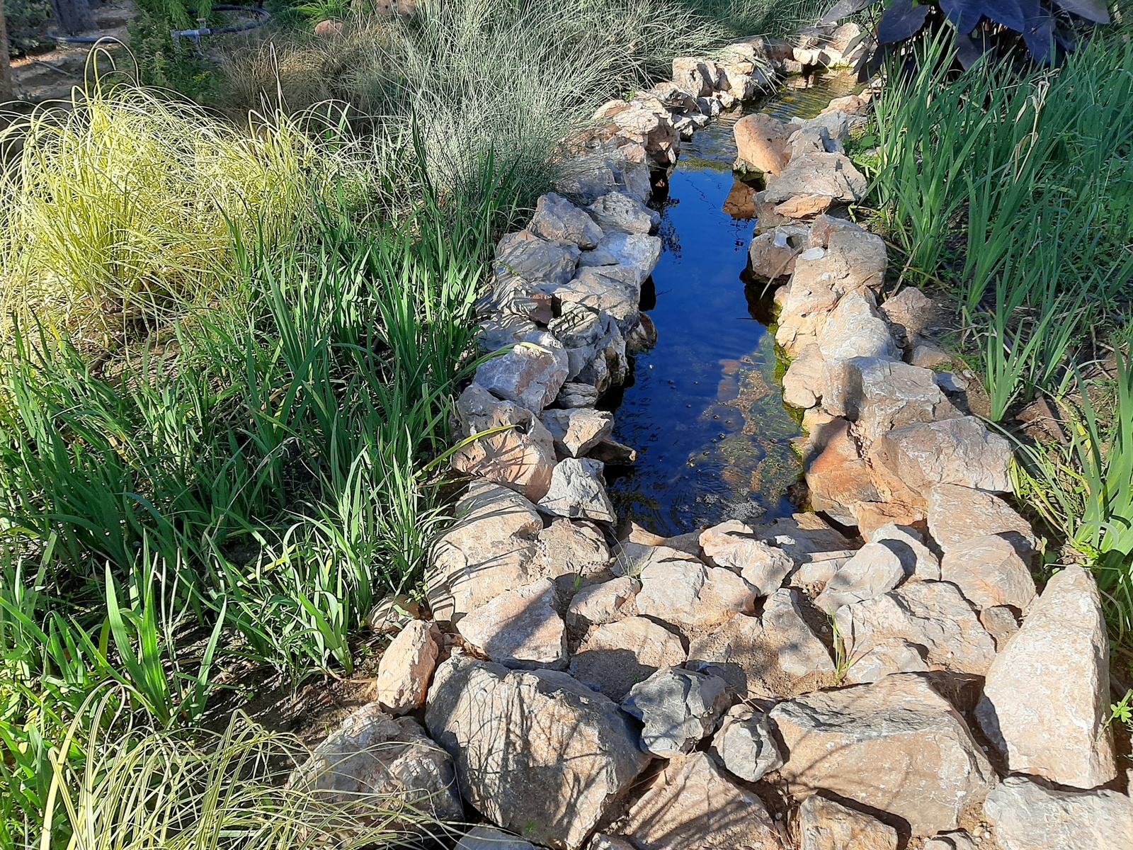 Reused water ends into a pond