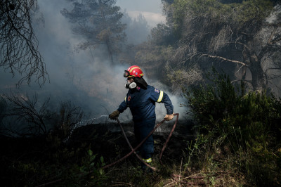 Λέκκας: Τεράστιες οι επιπτώσεις από τη φωτιά στην Κορινθία