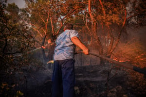 Φωτιά στη Βοιωτία: Μάχη με τις φλόγες 1 χιλιόμετρο από το Δίστομο, «δεν απειλείται το χωριό»